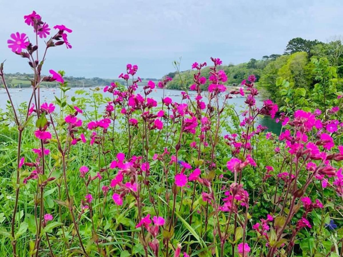 Wellspring Cottage Nr Kynance Cove Lizard Bagian luar foto